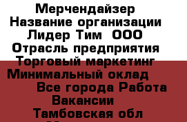 Мерчендайзер › Название организации ­ Лидер Тим, ООО › Отрасль предприятия ­ Торговый маркетинг › Минимальный оклад ­ 23 000 - Все города Работа » Вакансии   . Тамбовская обл.,Моршанск г.